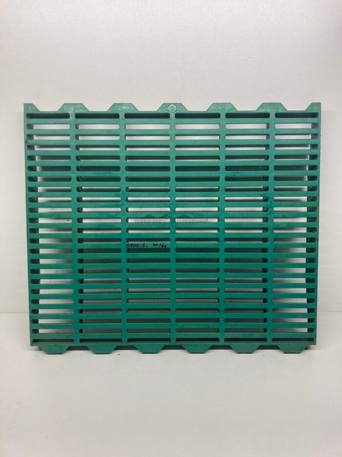 KS rooster big 60 x 50 Ikadan groen