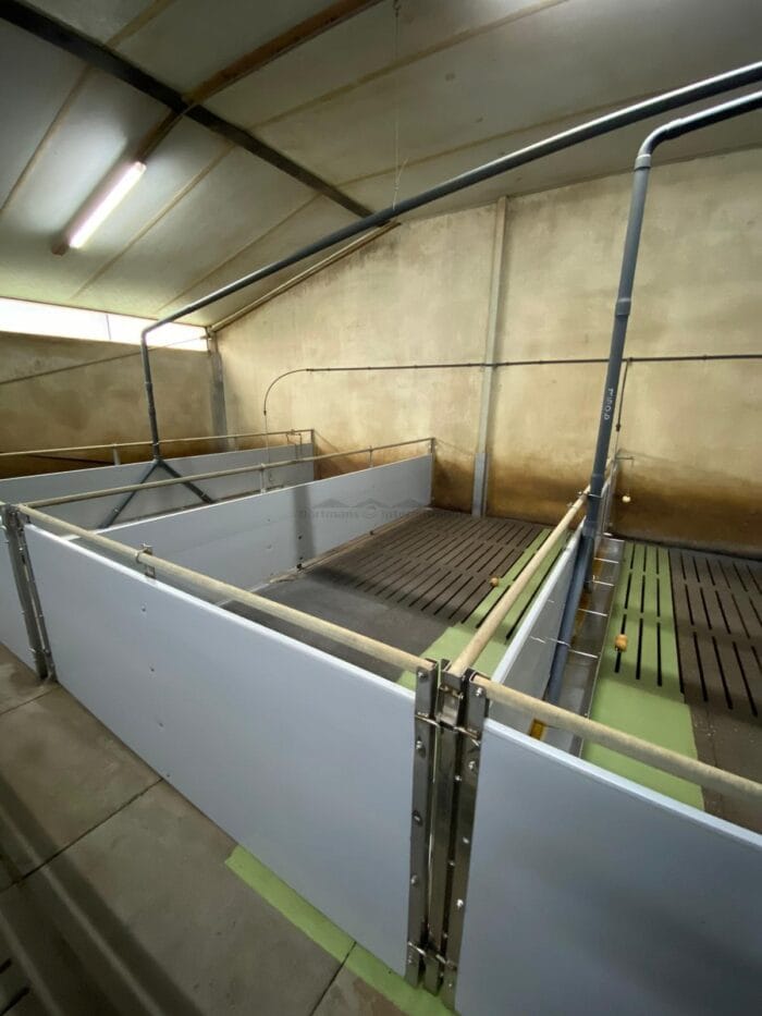 Vleesvarkens hokken met RVS trog