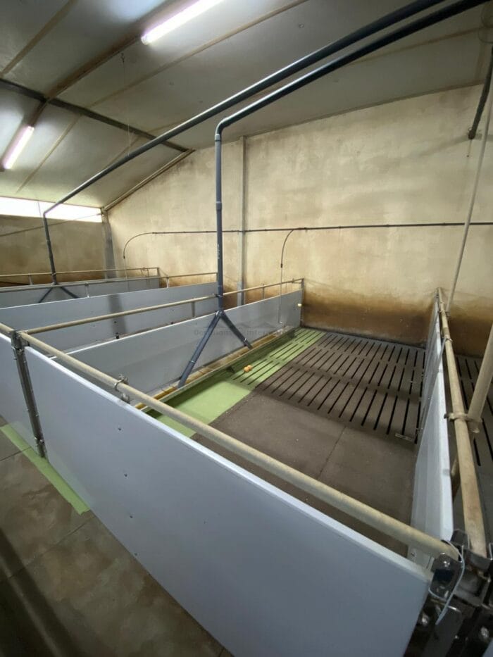 Vleesvarkens hokken met RVS trog - Afbeelding 2